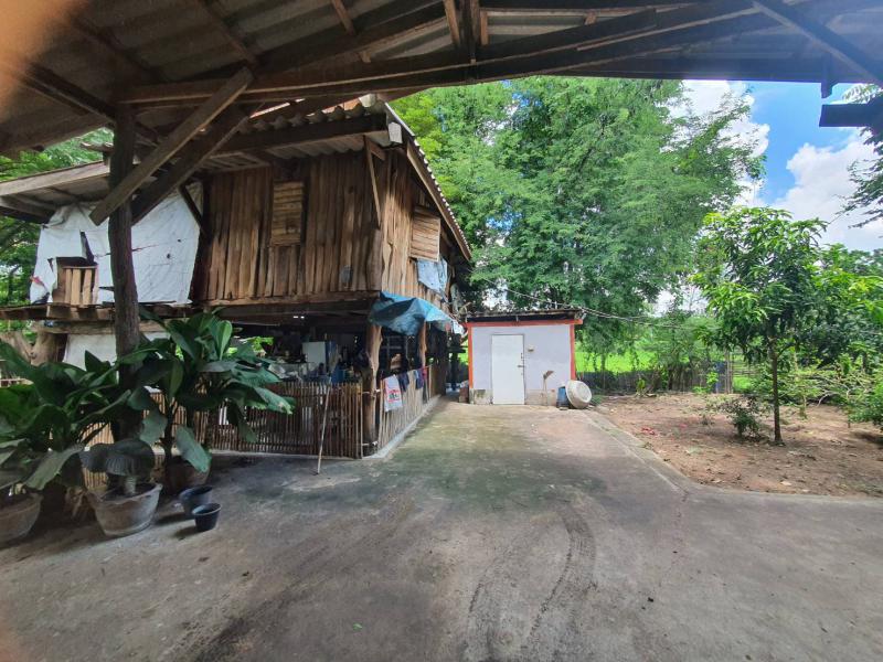 ที่ดินพร้อมสิ่งปลูกสร้างหลุดจำนอง ธ.ธนาคารกรุงไทย ยโสธร เมืองยโสธร ทุ่งนางโอก