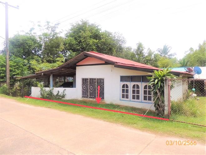 บ้านเดี่ยวหลุดจำนอง ธ.ธนาคารกสิกรไทย ยโสธร เมืองยโสธร ทุ่งแต้