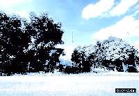 บ้านเดี่ยวหลุดจำนอง ธ.ธนาคารกสิกรไทย ยโสธร เมืองยโสธร นาสะไมย์